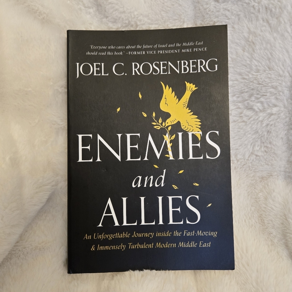 💙3/$25💙Enemies and Allies‎ by Joel C.Rosenberg Softcover
